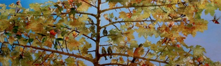 Lenzii Nectar
18 x60
oil on aluminum